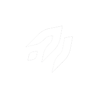 Logo mateus mariel branca